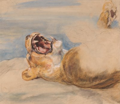 Bir dişi aslan çalışması by John Frederick Lewis